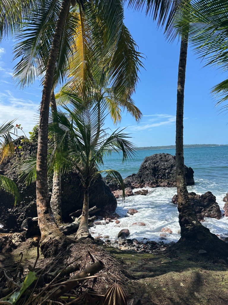 Coastal wellness destination environment in the Pacific Islands
